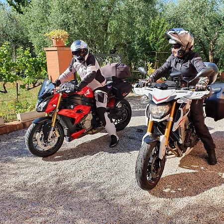 Orto Degli Ulivi