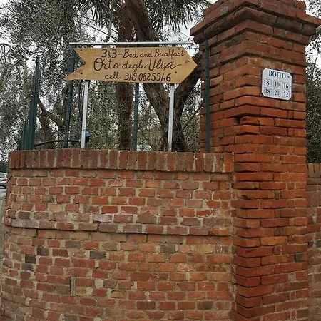 Orto Degli Ulivi * Sinalunga
