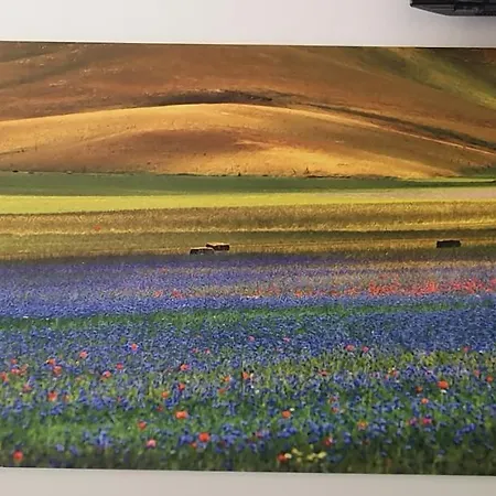 Bed & Breakfast Orto Degli Ulivi