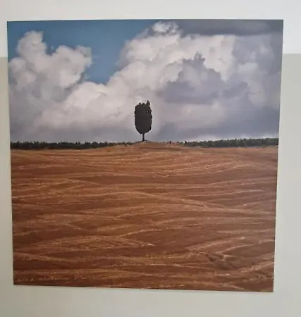 Orto Degli Ulivi * Sinalunga