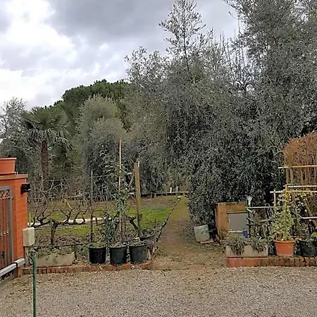 Bed & Breakfast Orto Degli Ulivi