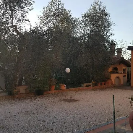 Orto Degli Ulivi * Sinalunga