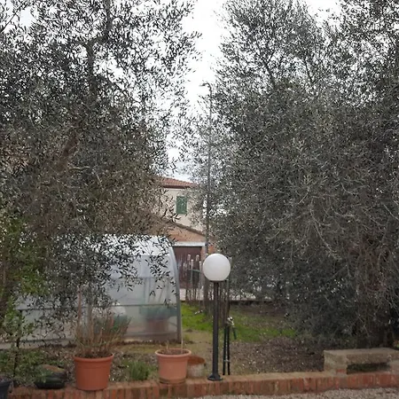 Orto Degli Ulivi * Sinalunga
