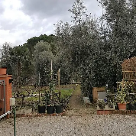 Orto Degli Ulivi * Синалунга
