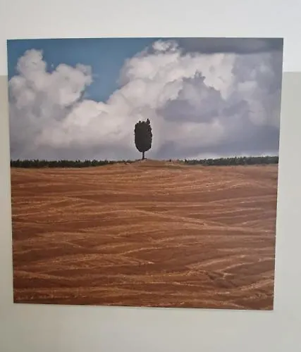 Orto Degli Ulivi * Sinalunga