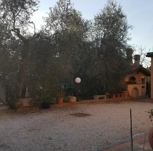 Orto Degli Ulivi * Sinalunga