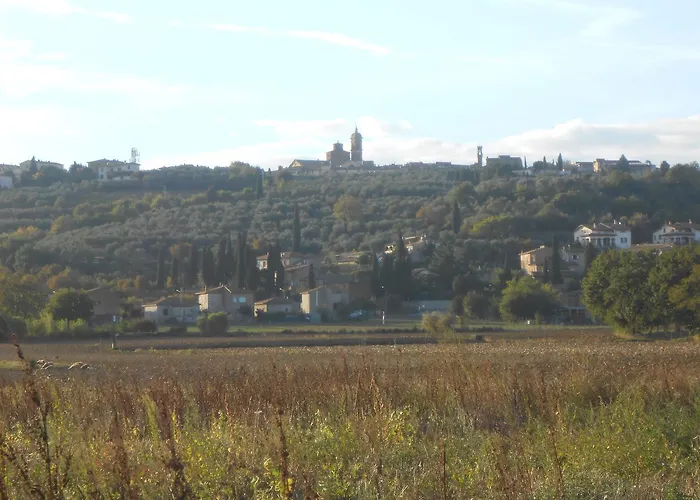Orto Degli Ulivi * Sinalunga