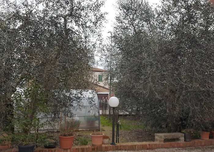 Orto Degli Ulivi * Sinalunga
