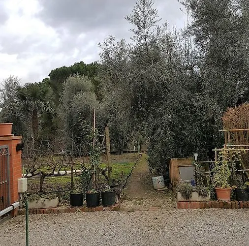 Orto Degli Ulivi * Sinalunga